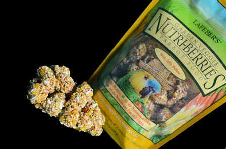 Nutri-Berries Garden Veggie (Gemüse) 284 gram