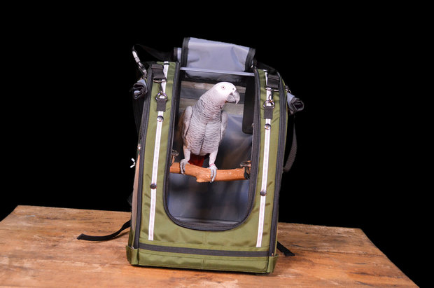 celltei Pak-o-bird rugzak medium 1