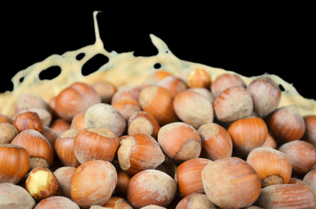 Haselnüsse in der Schale 1 kg 