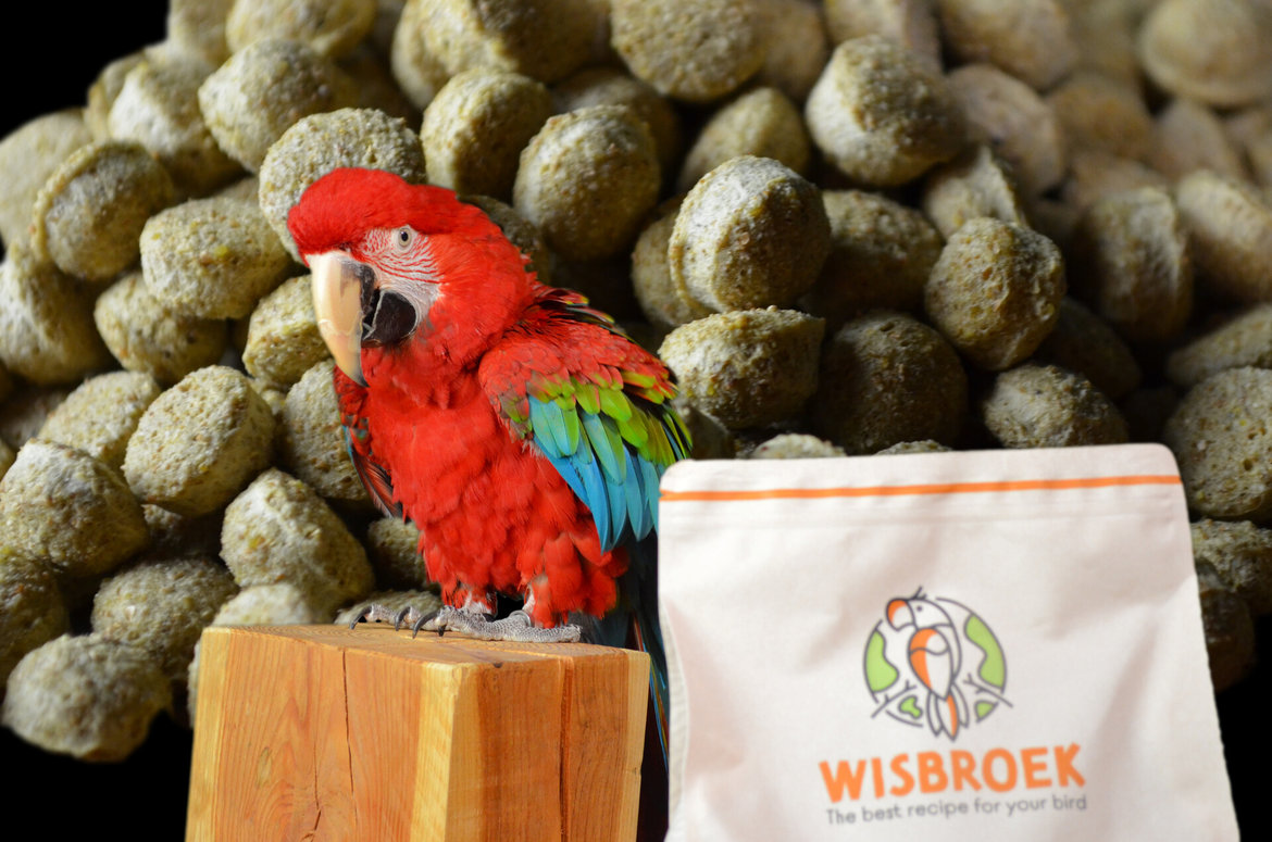 Wisbroek-pellet