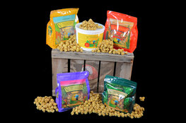 Actie Nutri-Berries Quintet Groot